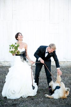 wedding-dog-funny