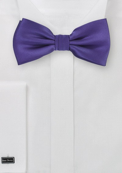Solid Purple Mens Bow Tie