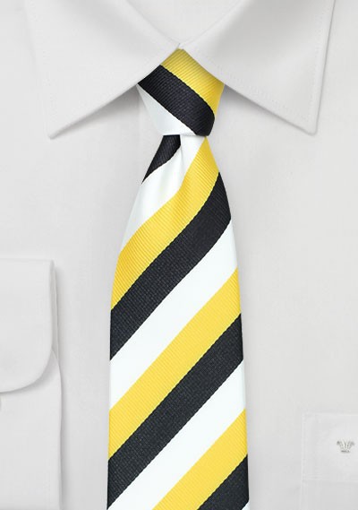 Skinny Striped Tie for Sigma Nu