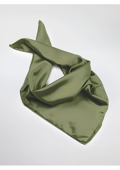 Olive Green Scarf for Women | Bows-N-Ties.com