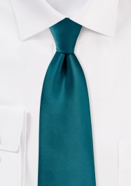 Solid Color Tie in Beyond the Sea Blue