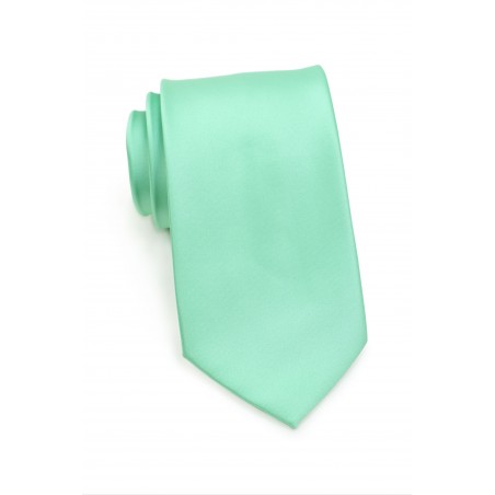 Shiny Mint Colored Necktie