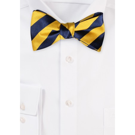 Striped Bow Tie in Yellow and Blue