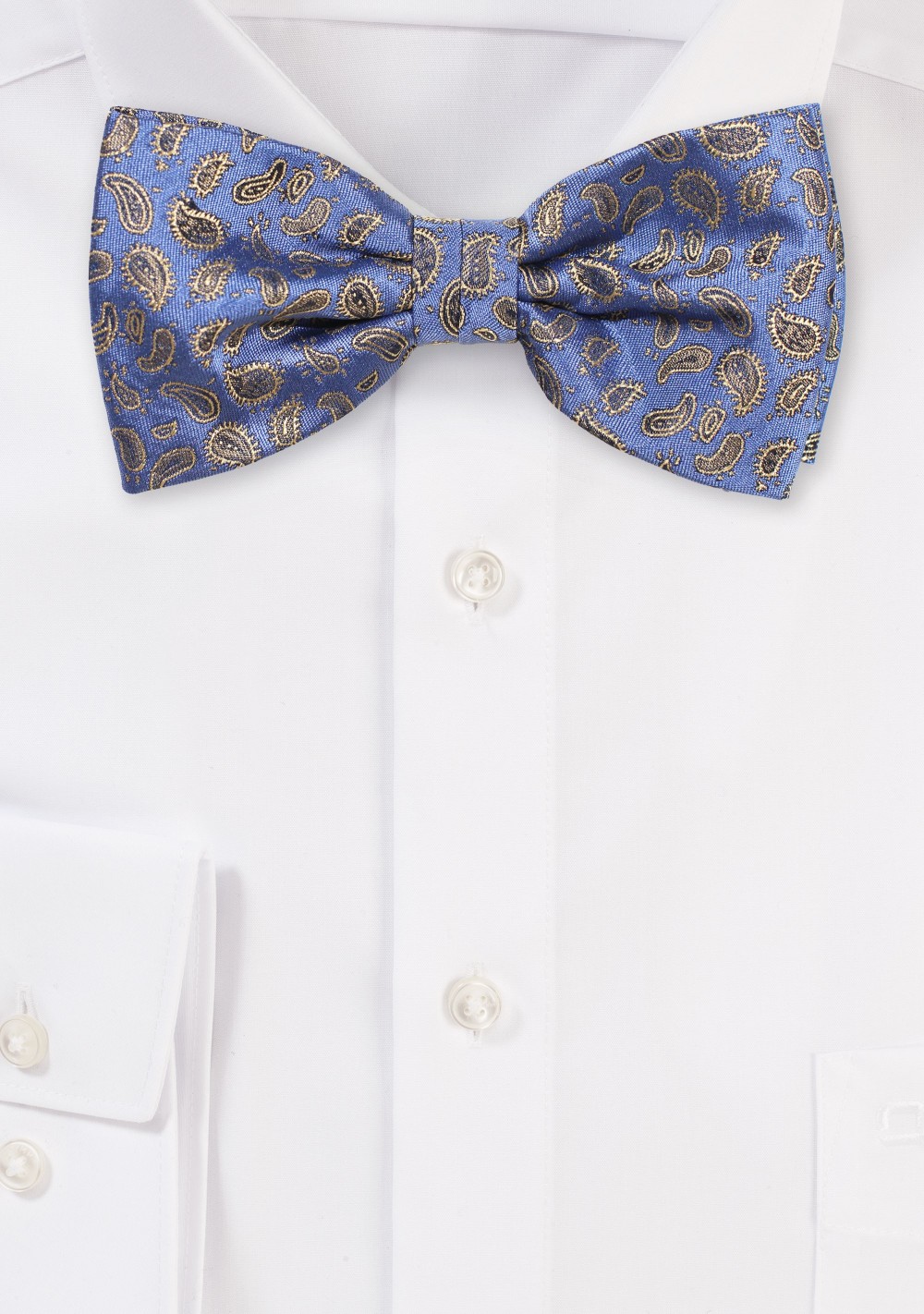 Blue and Gold Paisley Bow Tie