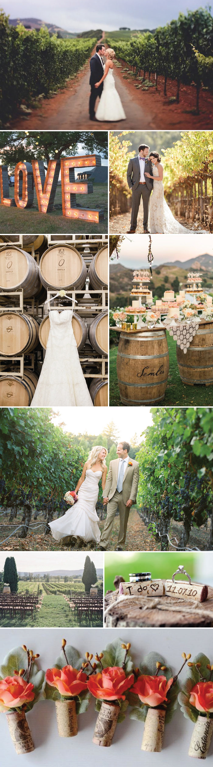 Vineyard Wedding Ideas 