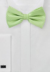 Pin-dot-bow-tie-spring-green