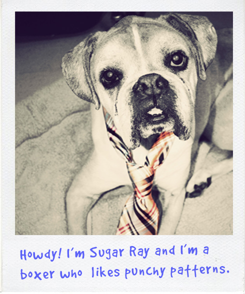 Adopt_Sugar_Ray